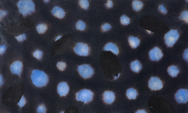Ross Bleckner Untitled (RB6639) 45,7 &times; 45,7 cm (18 &times; 18 in)
